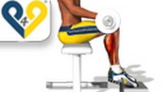 Exercices Musculation mollets assis avec barre [upl. by Kreit]