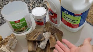 Acid Cleaning Petrified Wood – 4way test [upl. by Corinne]