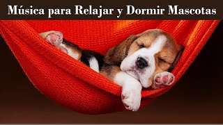 ¡MASCOTAS FELICES Potente Antiestrés y Ansiedad para Gatos y Perros◾TOTAL Relajación◾Ayuda a Dormir [upl. by Rhyner]