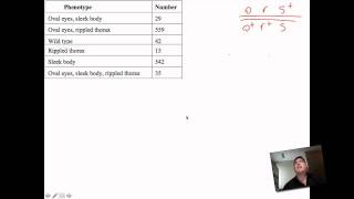 Worksheet Question 3  Eukaryotic Mapping [upl. by Hollah]