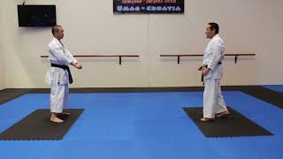 Niseishi Bunkai  shukokai karate kata [upl. by Mahmud]