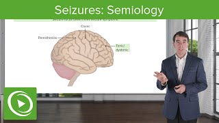 Seizures Semiology  Clinical Neurology [upl. by Nuahsyar]