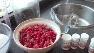 How to make Redcurrant Wine by Brewbitz Homebrew Shop [upl. by Yssirhc606]