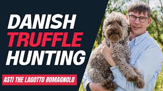 Lagotto  Truffle hunt  Trøffeljagt i Gribskov 2022  Rune og Asti  English subtitles [upl. by Jenna924]