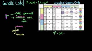 The Genetic Code [upl. by Akcimat]