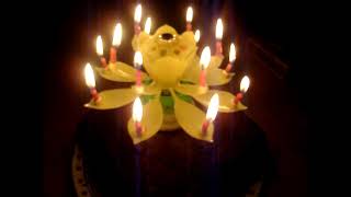 Happy Birthday to Me Surprise Sparkler Flower Candle [upl. by Eojyllib]