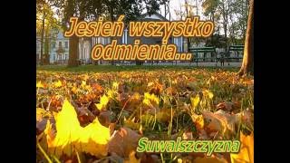 Żółty jesienny liść [upl. by Jacey]