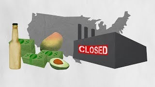 NAFTA explained by avocados And shoes [upl. by Durante312]