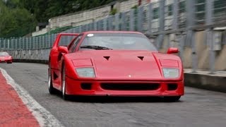 Ferrari F40  Start up Accelerating and Backfiring Sounds [upl. by Brynna478]