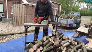 Supersnel stammen zagen met kettingzaag  very fast chainsaw sawing of thin tree trunks [upl. by Ahsieki]