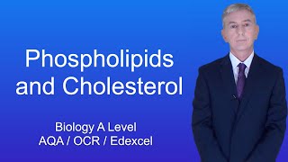 A Level Biology Revision quotPhospholipids and Cholesterolquot [upl. by Oinafipe]