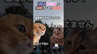 USJで大失敗する初心者朝イチムーブあるある猫ミーム usj ユニバ [upl. by Ainafetse]