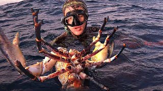 GIANT Lobster Caught By Hand 10LBS Monster [upl. by Geraint151]