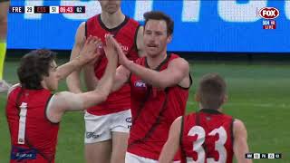 Essendon Highlights  Rd 22 2019 v Fremantle [upl. by Garvy]