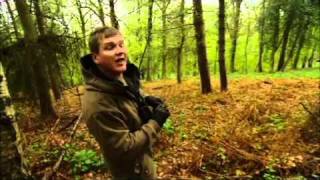 Wild Britain with Ray Mears  Tracking deer in the Forest of Dean [upl. by Ainnat292]