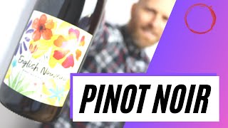 The best Pinot Noir wine under 20 bucks testing [upl. by Coulombe]