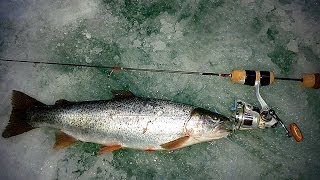 Ice Fishing Eleven Mile Reservoir  Go Pro Hero 3 [upl. by Nelyahs]