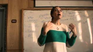 Obstetrics  DrNadine Alaa  Intrauterine growth retardation amp Macrosomia 2 [upl. by Adnorrahs]