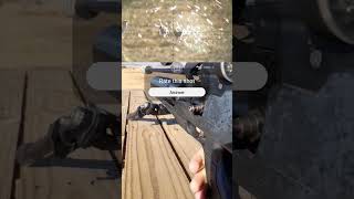 Scopecam pest bird explosion viralvideo shots shorts airgun viral explode scopecam pov [upl. by Yramliw]