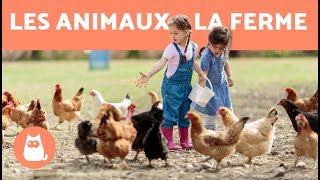 Les animaux de la ferme  leur cri leurs petits leur famille [upl. by Schild]