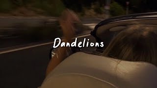 dandelions slowed reverb  lyrics [upl. by Christine931]