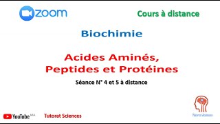 Vidéo N° 11 des séances 4 et 5 de Biochimie structurale pour S4 BCG FST [upl. by Asenaj106]