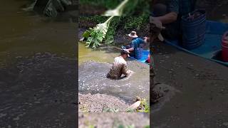 Fishing Videos Máy Kích Cá Mạnh Nhất Hiện Nay shorts kichca fishingvideos [upl. by Macdougall]