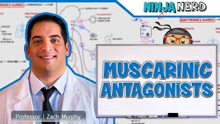 Autonomic Pharmacology  Muscarinic Antagonists [upl. by Enyamert766]