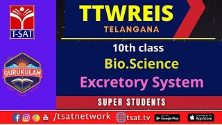 Excretory System in Humans  CBSE Class 10 Science Biology  Toppr Study [upl. by Arria]