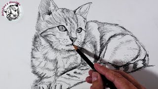 Cómo DIBUJAR un GATO realista con LAPIZ PASO a PASO [upl. by Bogey630]