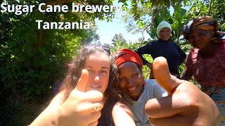 CULTURAL TOURISM TANZANIA  VISITING A SUGAR CANE BREWERY IN THE USAMBARA MOUNTAINS [upl. by Aeneg]