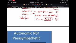 كيمياء صيدلانية عضوية Cholinergics and Anticholinesterase L3 [upl. by Alayne]