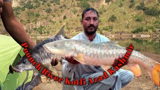 Catching Big Fishes in River  PRMNP fishing in hindi Urdu  fishing fish viralvideos [upl. by Pavla]