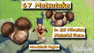 67 Matsutake in 25 Minutes Monstadt Region Material Farm  Genshin Impact [upl. by Iznekcam496]