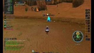 How to Solo A Heroic EverQuest II2 [upl. by Dare]