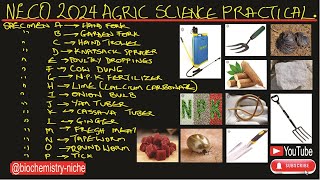 NECO 2024  Agricultural Science Practical Specimen [upl. by Aneez120]