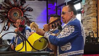 La Bamba Song Covered By The Sarasota Mariachi Band [upl. by Edmon]