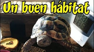 Hábitat para tortugas de tierra [upl. by Sheline992]