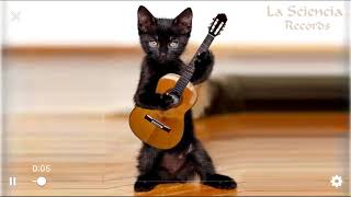 Gatinho cantando [upl. by Anneg]