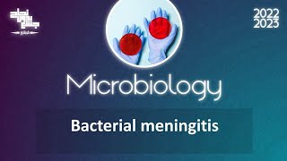 L 1 bacterial meningitis Microbiology [upl. by Tamera]