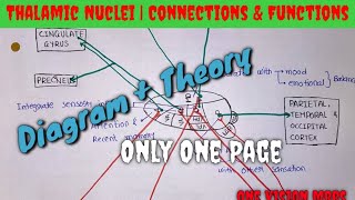 Thalamic Nuclei3Connections amp Functions diagramatic representation22 Only one page chart [upl. by Clea]