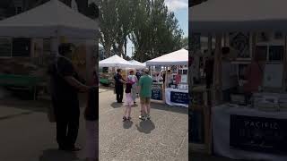 Alki Art Fair at Alki Beach [upl. by Nohtiek]