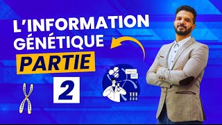 Unité 2 Génétique information génétique 🧬 Partie 2 [upl. by Ymmor]