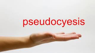 How to Pronounce pseudocyesis  American English [upl. by Shaylyn]