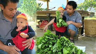 Harvesting vegetable gardens goes to the market sell  farm life [upl. by Eivla]