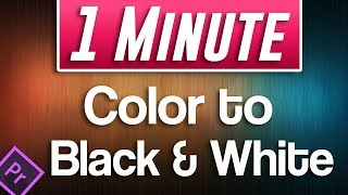 Premiere Pro CC  How to do Color to Black and White Effect [upl. by Ella]