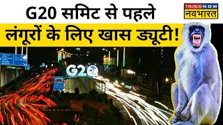 G20 Summit से पहले Delhi में क्यों लगी है 40 लोगों की लंगूर की आवाज निकालने की ड्यूटी [upl. by Yrtnahc30]