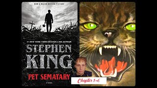 PET SEMATARY retold as True Crime [upl. by Nehte]