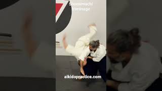 Aikido 合気道 Shomenuchi Iriminage [upl. by Edgell870]