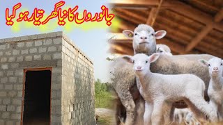 sheep house new house for sheep  sheep house designbkriun ka bnaia nia ghr gaun mn 🐃🐑🐑🐐🐐 [upl. by Aronek]